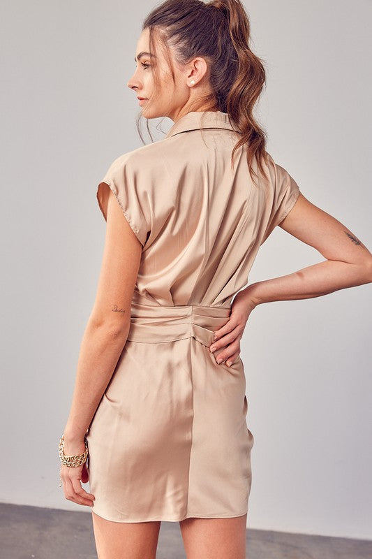 Collar Button Up Front Dress (Shipping Only)