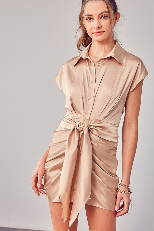 Collar Button Up Front Dress (Shipping Only)