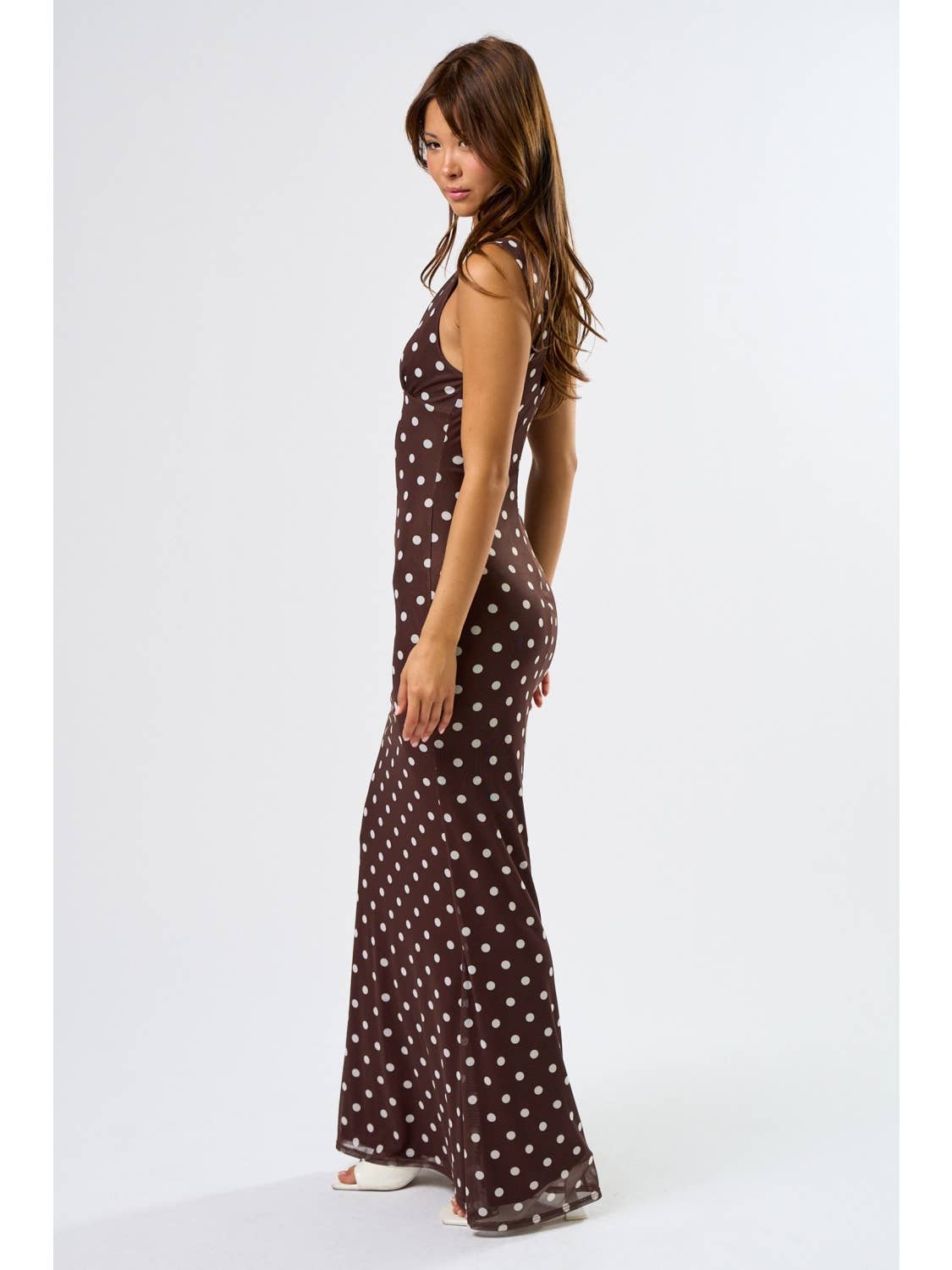 Mesh Polka Dot Maxi Dress